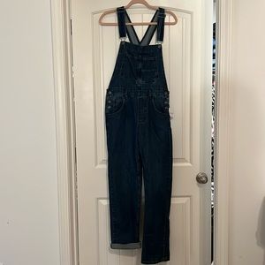 We the Free Blue Jean Overalls